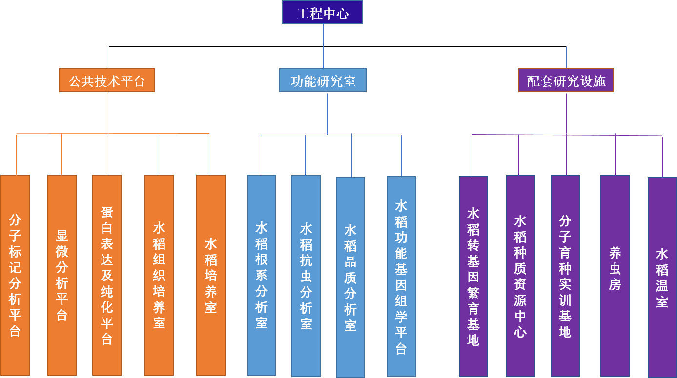 河南省水稻分子育种工程研究中心.png